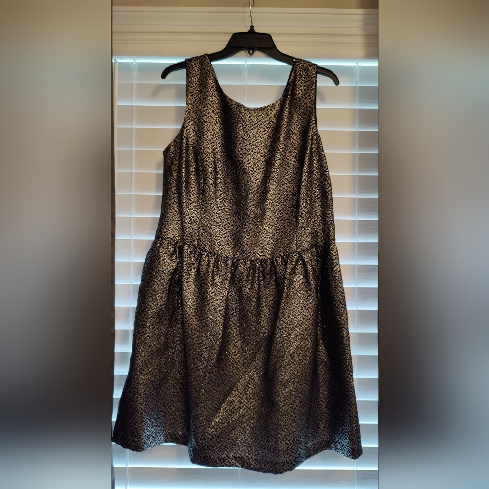 Ivanka Trump Dress